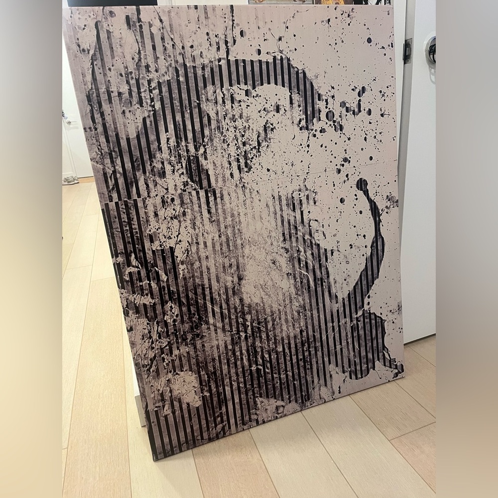 Canvas Cultures - Jupiter I (30W x 40L)